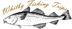 Whitby Fishing Trips