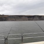 Whitby Fishing Trips - Cod, Ling, Codling Wreck and Reef Fishing from the port of Whitby North Yorks http://www.whitbyfishingtrips.co.uk