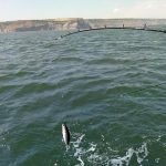 Whitby Fishing Trips - Cod, Ling, Codling Wreck and Reef Fishing from the port of Whitby North Yorks http://www.whitbyfishingtrips.co.uk