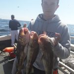 Whitby Fishing Trips - Cod, Ling, Codling Wreck and Reef Fishing from the port of Whitby North Yorks http://www.whitbyfishingtrips.co.uk