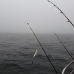 Whitby Fishing Trips - Cod, Ling, Codling Wreck and Reef Fishing from the port of Whitby North Yorks http://www.whitbyfishingtrips.co.uk