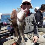 Whitby Fishing Trips - Cod, Ling, Codling Wreck and Reef Fishing from the port of Whitby North Yorks http://www.whitbyfishingtrips.co.uk