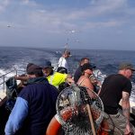 Whitby Fishing Trips - Cod, Ling, Codling Wreck and Reef Fishing from the port of Whitby North Yorks http://www.whitbyfishingtrips.co.uk