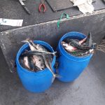 Whitby Fishing Trips - Cod, Ling, Codling Wreck and Reef Fishing from the port of Whitby North Yorks http://www.whitbyfishingtrips.co.uk