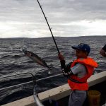 Whitby Fishing Trips - Cod, Ling, Codling Wreck and Reef Fishing from the port of Whitby North Yorks http://www.whitbyfishingtrips.co.uk