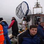 Whitby Fishing Trips - Cod, Ling, Codling Wreck and Reef Fishing from the port of Whitby North Yorks http://www.whitbyfishingtrips.co.uk