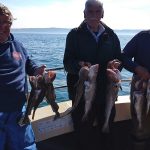 Whitby Fishing Trips - Cod, Ling, Codling Wreck and Reef Fishing from the port of Whitby North Yorks http://www.whitbyfishingtrips.co.uk