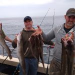 Whitby Fishing Trips - Cod, Ling, Codling Wreck and Reef Fishing from the port of Whitby North Yorks http://www.whitbyfishingtrips.co.uk