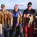 Whitby Fishing Trips - Cod, Ling, Codling Wreck and Reef Fishing from the port of Whitby North Yorks http://www.whitbyfishingtrips.co.uk