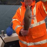 Whitby Fishing Trips - Cod, Ling, Codling Wreck and Reef Fishing from the port of Whitby North Yorks http://www.whitbyfishingtrips.co.uk