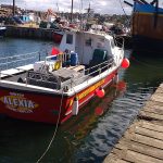 Whitby Fishing Trips - Cod, Ling, Codling Wreck and Reef Fishing from the port of Whitby North Yorks http://www.whitbyfishingtrips.co.uk