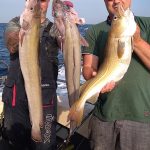 Whitby Fishing Trips - Cod, Ling, Codling Wreck and Reef Fishing from the port of Whitby North Yorks http://www.whitbyfishingtrips.co.uk