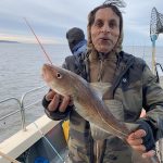 Whitby Fishing Trips - Cod, Ling, Codling Wreck and Reef Fishing from the port of Whitby North Yorks http://www.whitbyfishingtrips.co.uk