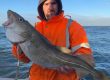 Whitby Fishing Trips - Cod, Ling, Codling Wreck and Reef Fishing from the port of Whitby North Yorks http://www.whitbyfishingtrips.co.uk