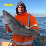 Whitby Fishing Trips - Cod, Ling, Codling Wreck and Reef Fishing from the port of Whitby North Yorks http://www.whitbyfishingtrips.co.uk