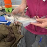 Whitby Fishing Trips - Cod, Ling, Codling Wreck and Reef Fishing from the port of Whitby North Yorks http://www.whitbyfishingtrips.co.uk