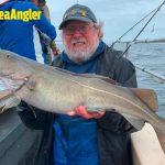 Whitby Fishing Trips - Cod, Ling, Codling Wreck and Reef Fishing from the port of Whitby North Yorks http://www.whitbyfishingtrips.co.uk
