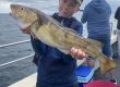 Whitby Fishing Trips - Cod, Ling, Codling Wreck and Reef Fishing from the port of Whitby North Yorks http://www.whitbyfishingtrips.co.uk
