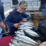 Whitby Fishing Trips - Cod, Ling, Codling Wreck and Reef Fishing from the port of Whitby North Yorks http://www.whitbyfishingtrips.co.uk