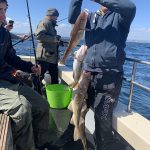 Whitby Fishing Trips - Cod, Ling, Codling Wreck and Reef Fishing from the port of Whitby North Yorks http://www.whitbyfishingtrips.co.uk