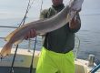 Whitby Fishing Trips - Cod, Ling, Codling Wreck and Reef Fishing from the port of Whitby North Yorks http://www.whitbyfishingtrips.co.uk