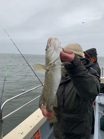 Whitby Fishing Trips - Cod, Ling, Codling Wreck and Reef Fishing from the port of Whitby North Yorks http://www.whitbyfishingtrips.co.uk