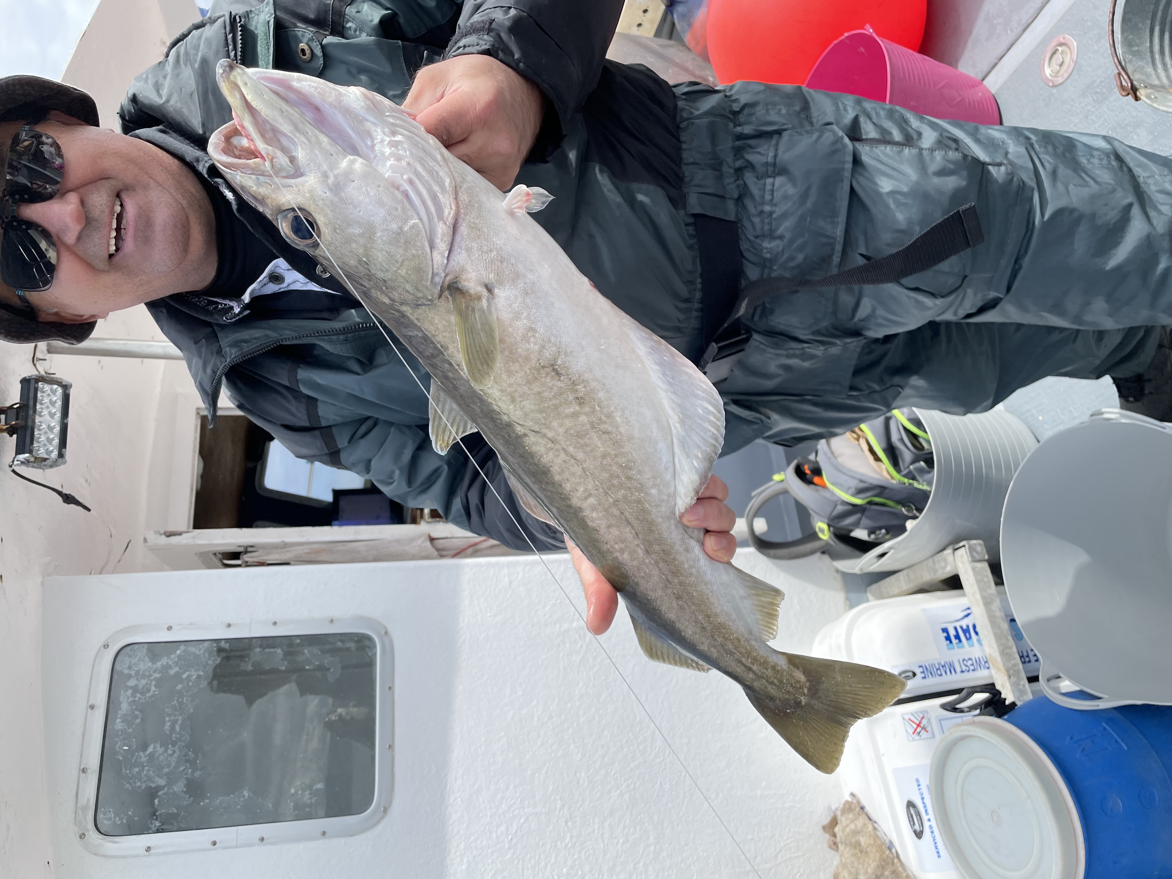 Whitby Fishing Trips - Cod, Ling, Codling Wreck and Reef Fishing from the port of Whitby North Yorks http://www.whitbyfishingtrips.co.uk