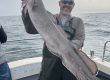 Whitby Fishing Trips - Cod, Ling, Codling Wreck and Reef Fishing from the port of Whitby North Yorks http://www.whitbyfishingtrips.co.uk