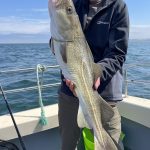 Whitby Fishing Trips - Cod, Ling, Codling Wreck and Reef Fishing from the port of Whitby North Yorks http://www.whitbyfishingtrips.co.uk