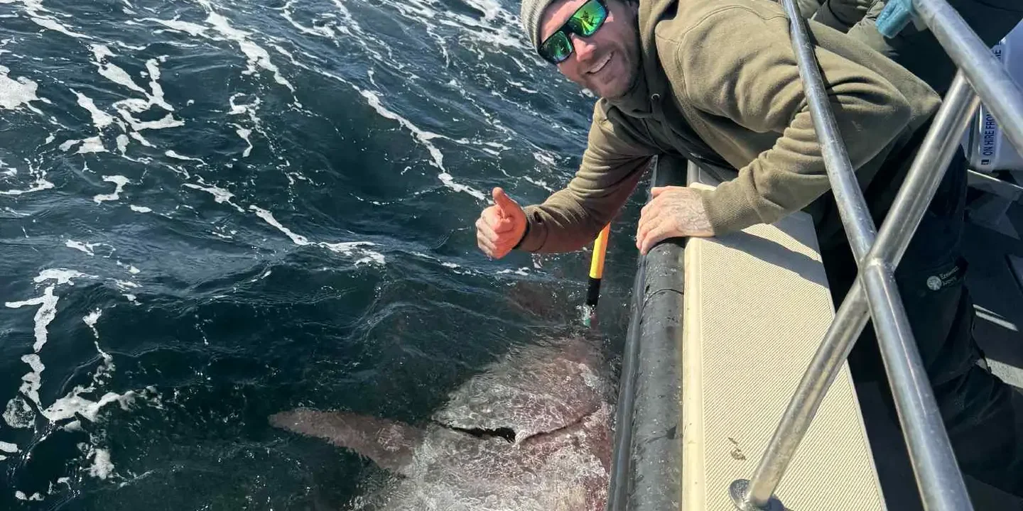 Whitby Fishing Trips - Bluefin Tuna, Cod, Ling, Codling Wreck and Reef Fishing from the port of Whitby North Yorks http://www.whitbyfishingtrips.co.uk